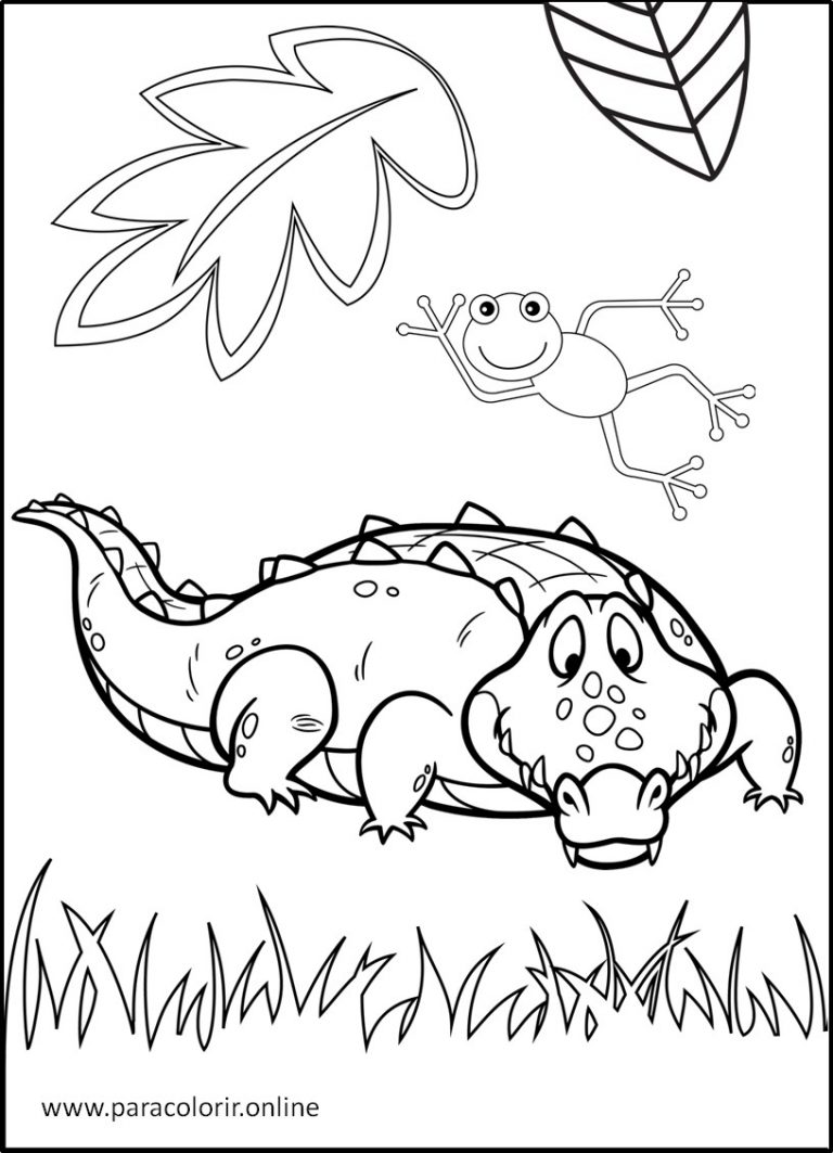 Desenhos De Animais Da Floresta Para Colorir Para Colorir