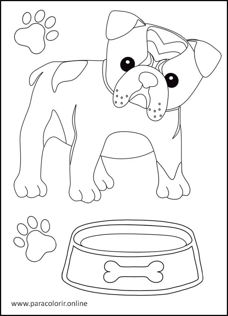 Desenhos De Animais Domésticos Para Colorir Para Colorir